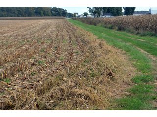 Property photo 99 - EHLE FARMS AUCTION - 118+/- ACRES IN 9 TRACTS IN ALLEN COUNTY, INDIANA